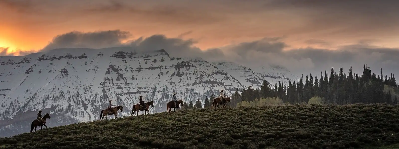 Five people riding on horseback through the Bridger-Teton National Forest.